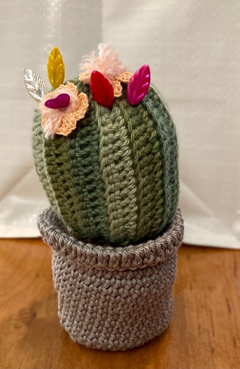 Cactus Brodé